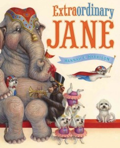 Book cover of Extraordinary Jane by Hannah E. Harrison