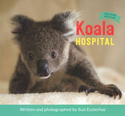book cover of "Koala Hospital" written and photographed by Suzi Eszterhas. Photo of Koala bear.