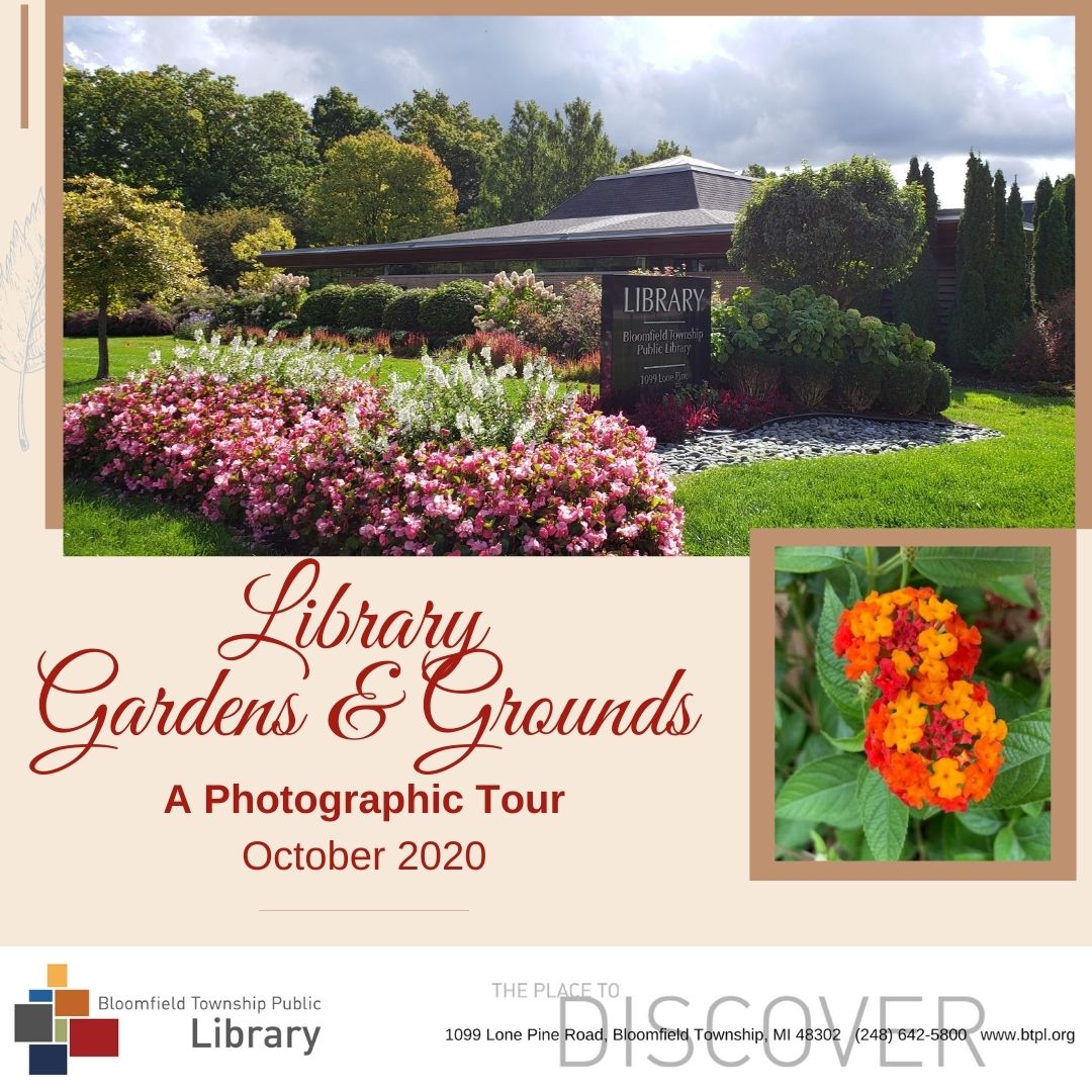 Copy Of Copy Of A Relaxing Stroll Through The Gardens