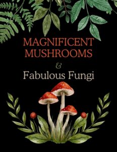 Magnificent mushrooms and fabulous fungi. Image of a patch of mushrooms and decorative reads.