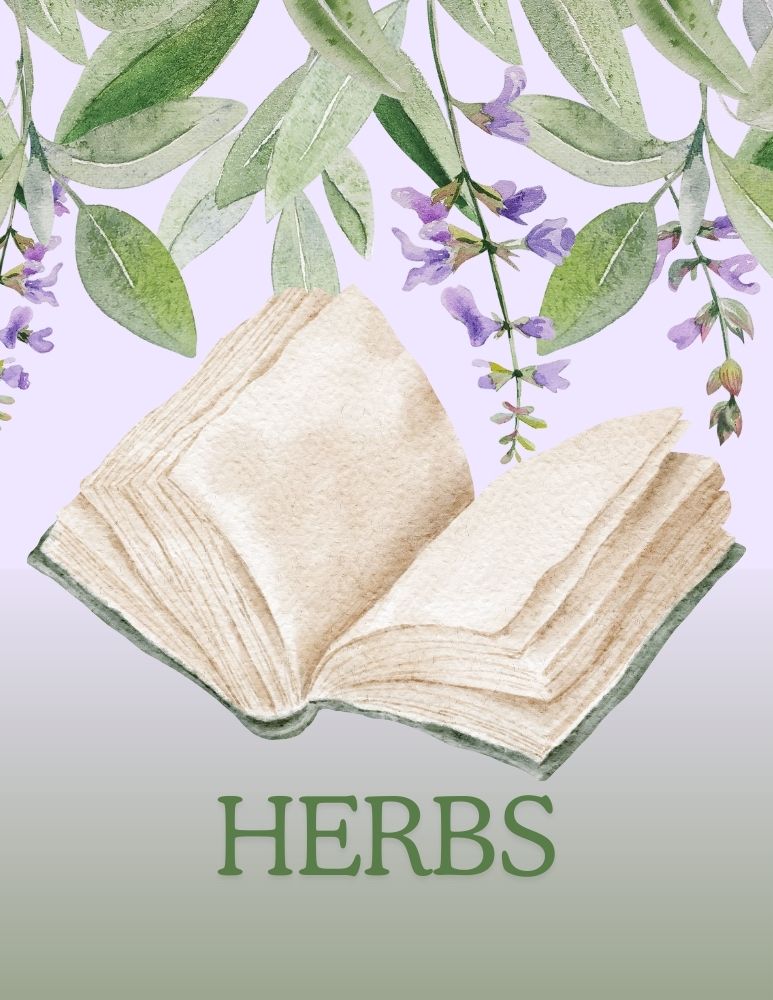 Herbs. Image of an open book with sage leaves and flowers above it.