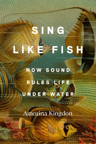 book cover: sing like a fish by amorina kingdon