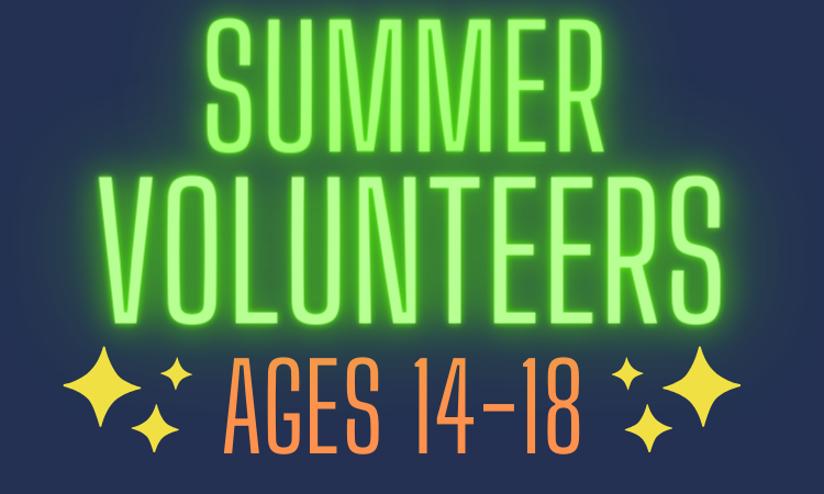 Summer Volunteers