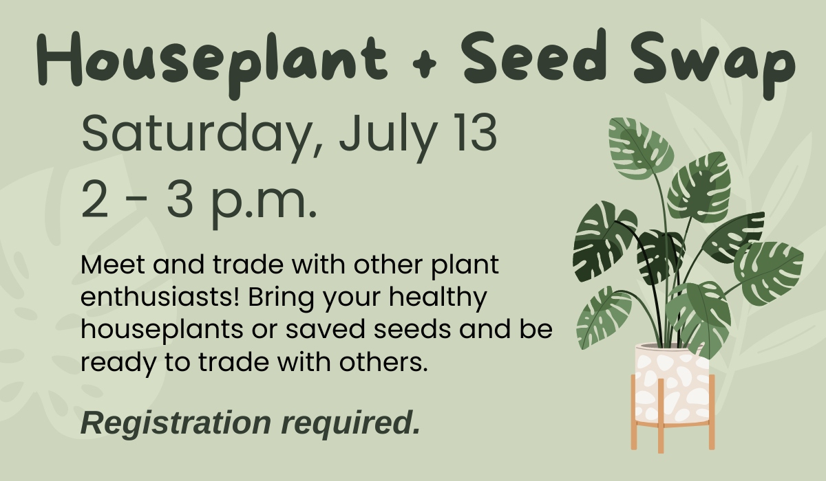 Houseplant and Seed Swap