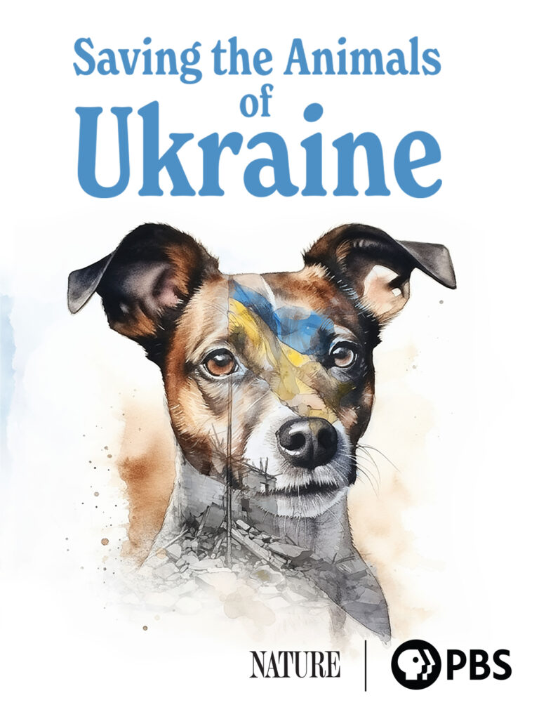 Saving the Animals of Ukraine. Film cover image.