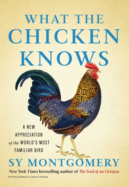 What the Chicken Knows book cover