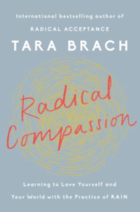 Front cover of Radical Compassion