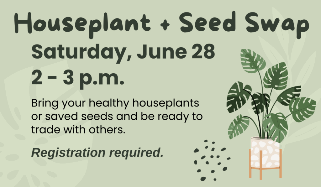 Houseplant and seed swap on June 28 from 2-3 p.m.