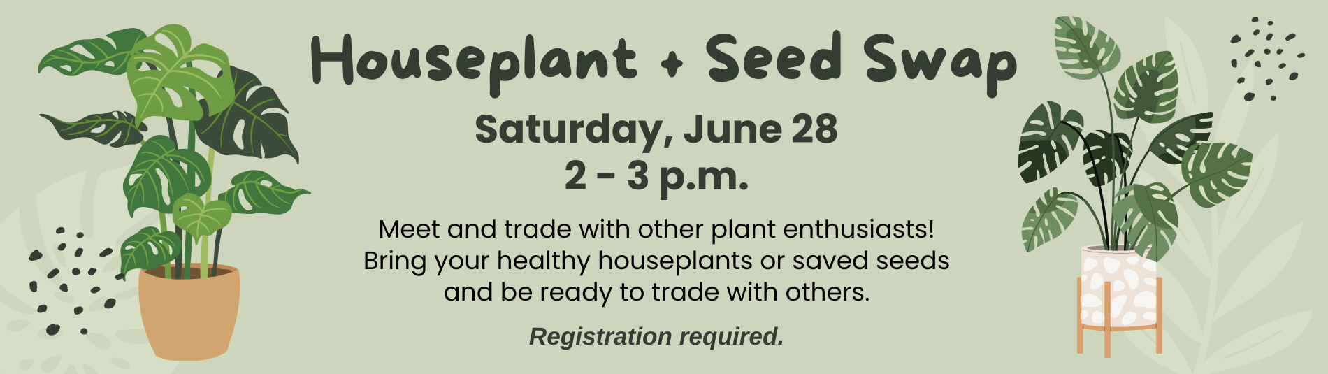 Houseplant and seed swap on June 28 from 2-3 p.m.