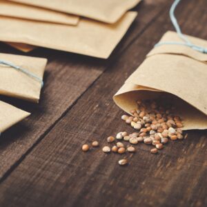 Photo of a packet of seeds with some seeds spilling out onto a wood table.