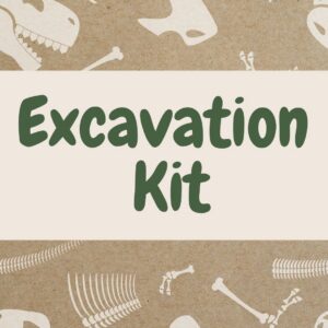 Book cover featuring a beige background with illustrations of dinosaur bones and skeletons arranged around the centered text.